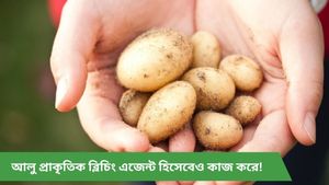 ত্বকে ট্যানিং-বলিরেখা, যেকোনও সমস্যা একটি আলুই করবে সমাধান!