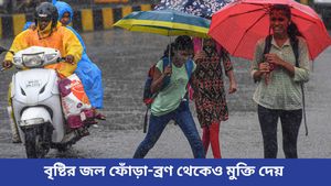 বৃষ্টিতে ভিজলেই ফেটে পড়বে জেল্লা, বাড়বে হ্যাপি হরমোন! কীভাবে জানুন 