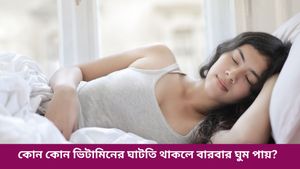 বসে বসেই ঘুমিয়ে পড়ছেন- সারাক্ষণ ক্লান্তিভাব? এর নেপথ্যে রয়েছে কী জানুন