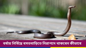  বর্ষায় বাড়ে সাপের উৎপাত, বিষধর থেকে নিরাপদে থাকতে কী করবেন জানুন! 