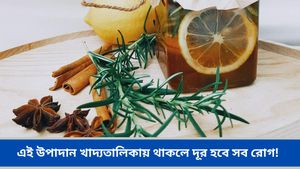 বর্ষায় বারবার অসুস্থ হওয়া রুখবে এই আয়ুর্বেদিক উপাদান, কাজ করে ম্যাজিকের মত! জেনে নিন বিস্তারিত  