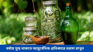 বৃষ্টিতে ভিজলেই রোগ-সংক্রমণের প্রকোপ বাড়ে, এই আয়ুর্বেদিক প্রতিকারগুলি ট্রাই করুন 