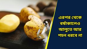 বৃষ্টিতে আলু পচে যাচ্ছে? জেনে নিন সঠিক উপায়ে কীভাবে সংরক্ষণ করতে পারবেন