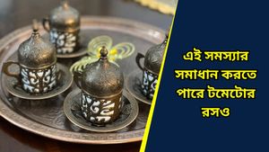 জন্মাষ্টমীর আগেই চকচকে করুন কালো পিতলের বাসন, রইল সহজ উপায়ের হদিশ!   