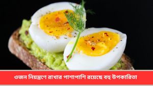 বর্ষায় রোগ প্রতিরোধ ক্ষমতা বাড়াতে খাদ্যতালিকায় অবশ্যই রাখুন এই 'সুপারফুড'! 