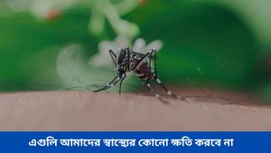 বর্ষায় মশা তাড়াতে কালঘাম ছুটছে? বিষাক্ত কীটনাশকের বদলে এই সহজ ঘরোয়া টোটকাতেই পাবেন মুক্তি! 