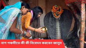 চলতি বছরে নাগ পঞ্চমী কবে? কীভাবে নাগ দেবতাকে খুশী করবেন, জেনে নিন পুজোর সঠিক পদ্ধতি 