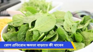 বর্ষায় বারবার অসুস্থ হয়ে পড়ছেন? ইমিউনিটি বাড়াতে রোজ খান এই ভিটামিন ই সমৃদ্ধ খাবারগুলি