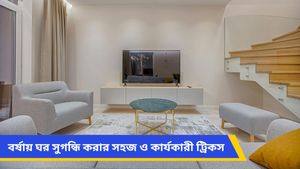 বর্ষাকালে ঘরে স্যাঁতস্যাঁতে গন্ধে টেকা দায়, দুর্গন্ধ কাটান ডিআইওয়াই রুম ফ্রেশনারে!