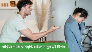 বাড়িতে অশান্তি-ঝামেলা শেষ হওয়ায় নাম নেই! বাস্তুশাস্ত্র মেনে এই কাজ করুন, পাবেন সুরাহা