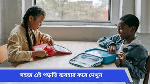 প্লাস্টিকের বক্সের একগুঁয়ে হলুদ দাগ দূর করবেন কীভাবে? কম খরচে ঘরোয়া উপায়ে পান সমাধান   