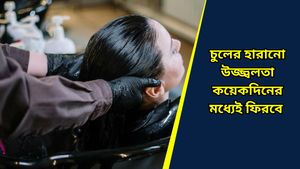 পুজোর আগেই চকচকে ও নরম চুল পেতে ব্যবহার করুন মেহেন্দি, রইল ব্যবহারের পদ্ধতি ও উপকারিতা 