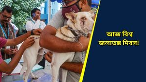 কুকুর ছাড়াও এমন অনেক প্রাণী রয়েছে যারা জলাতঙ্ক ছড়ায়, জানেন?    