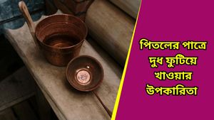 পিতলের পাত্রে খেলে শুধু স্বাস্থ্য উপকারিতা নয়, বাড়িতে সুখ-সমৃদ্ধির প্রবাহও বাড়ে, কীভাবে জানুন 