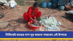 চা পড়েছে পছন্দের সাদা জামায়? এই নাছোড় দাগ তুলে দেবে ঘরোয়া কিছু উপাদান   