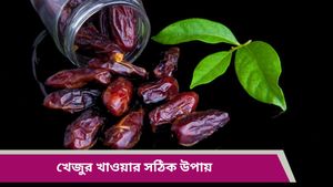 সকালে খালি পেটে খেজুর ভেজা নাকি শুকনো খাবেন? কোনটি সবচেয়ে বেশি উপকারী জানুন 