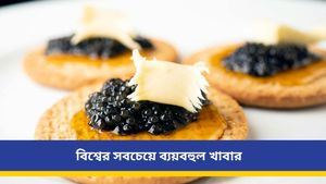 এই মাছের ডিম বিশ্বের সবথেকে দামি খাবার! তালিকায় আর কি কি রয়েছে জানেন?  