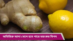 গর্ভবতী মহিলারা ভুলেও খাবেন না অতিরিক্ত পরিমাণে আদা, পার্শ্বপ্রতিক্রিয়া জানলে চমকে উঠবেন 