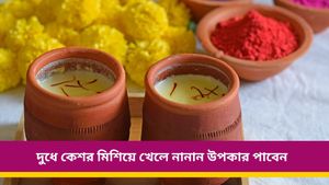 রাজকুমারীদের মত ত্বক চান? রোজ রাতে খান কেশর দুধ, নিমেষেই হবে দূর ত্বকের যাবতীয় সমস্যা