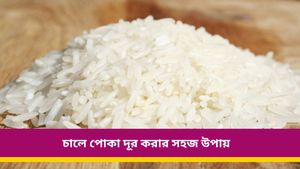  চালের ড্রামে ভর্তি পোকা? এই ঘরোয়া প্রতিকারগুলির সাহায্যে সহজেই গায়েব হবে পোকা 