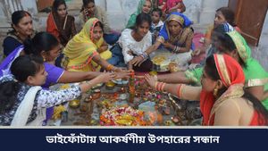  Bhai Phota 2024: ভ্রাতৃদ্বিতীয়ার উপহার নিয়ে চিন্তিত? রইল ভাইয়ের জন্য চিত্তাকর্ষক উপহারের কিছু আইডিয়া   