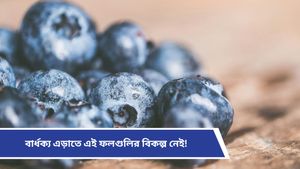 Anti aging hacks: অল্প বয়সেই বুড়িয়ে যাচ্ছেন? যৌবন ধরে রাখতে আজ থেকেই ডায়েটে রাখুন এই ফলগুলি   