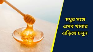 Honey Side Effects: 'মহৌষধি' হলেও এসব খাবারের সঙ্গে ভুলেও মেশাবেন না মধু, হতে পারে বিষের সমান!   