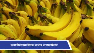  Tips to keep bananas fresh: কলা কিনে বাড়িতে রাখলেই পচে যাচ্ছে, কীভাবে সতেজ রাখা যায় জানুন 