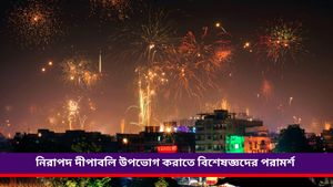 Diwali: একটু অসাবধানতায় উৎসব রূপ নিতে পারে ভয়ঙ্কর, জানুন দীপাবলিতে নিরাপদে থাকার টিপস 