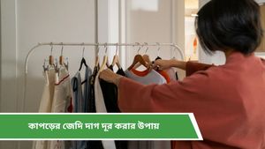 Clothes Cleaning Hack: এক টুকরো বরফের ব্যবহারেই হবে একগুঁয়ে দাগ সাফ! রইল ম্যাজিক ট্রিকস    
