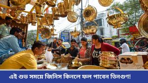 Dhanteras 2024: ধনতেরাসে কেনাকাটা কখন করবেন? নির্দিষ্ট সময়ে না কিনলে কিন্তু কোনও লাভ নেই! 