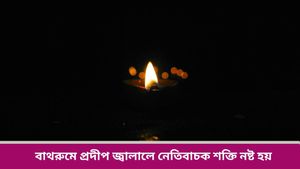 Vastu Tips: দীপাবলিতে বাড়িতে করুন এই ছোট টোটকা, বজায় থাকবে সুখ-শান্তি সারাবছর! 