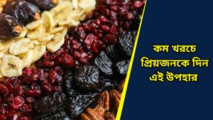 Diwali gift: ড্রাই ফ্রুটস-মিষ্টি নয়, চিরাচরিত গণ্ডি পেরিয়ে দীপাবলিতে প্রিয়জনকে দিন এই নজরকাড়া উপহার   