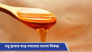 Honey for skin care: কালী পুজোর আগেই ত্বকের জেল্লা ফেরাতে ভরসা রাখুন একমাত্র মধুতে, কেন জানেন?  