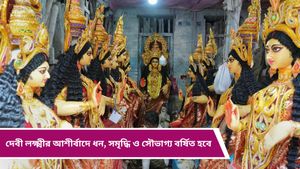 Vastu Tips: দেবী লক্ষ্মীর আশীর্বাদ পেতে চান? তবে আজই বাড়িতে আনুন এই জিনিসগুলি, প্রসন্ন হবেন 