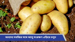 Kitchen Hacks: বর্ষায় অল্প সময়েই নষ্ট হয়ে যাচ্ছে আলু, মাসের পর মাস কীভাবে সংরক্ষণ করবেন, রইল টিপস 