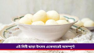 Diwali Recipe: দীপাবলিতে মিষ্টিমুখ হোক, বাড়িতেই সহজে বানিয়ে নিন সকলের প্রিয় নরম তুলতুলে রসগোল্লা! 