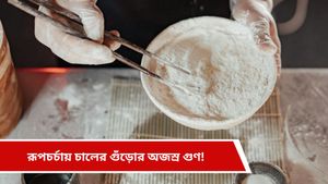 Skin care tips: মেকআপ ছাড়াই হিরের মত চমকাবে ত্বক, রইল মা-ঠাকুমাদের টোটকা 