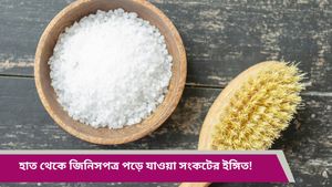 Vastu tips: ভুলেও এসব জিনিস মাটিতে ফেলবেন না, দারিদ্র-নেতিবাচক শক্তি ঘিরে ধরবে 