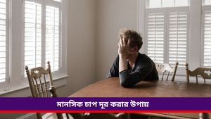 Foods to reduce stress: কাজের চাপে মানসিক স্বাস্থ্যের দফারফা, সমস্যা মেটাতে ডায়েটে রাখুন এই খাবারগুলি 