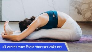 Belly Fat: পেটের মেদ ঝরাতে কালঘাম ছুটছে? জিম না গিয়ে বাড়িতেই হবে মুশকিল আসান 