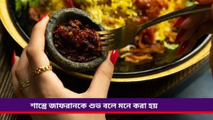 Karva Chauth recipe: করভা চৌথের শুভদিনে পরিবারের জন্য চটজলদি বানিয়ে ফেলুন জাফরানি ক্ষীর! 