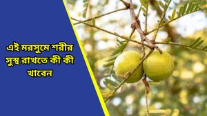 শীতে শরীর সুস্থ রাখতে ও ফুসফুস ভালো রাখতে খান এই সুপারফুডগুলি