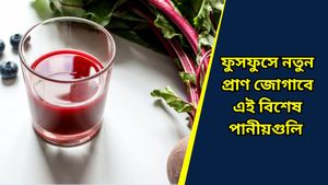 Air pollution: বায়ুদূষণে দিল্লি শীর্ষে, সুস্থ থাকতে রোজ ডায়েটে রাখুন এই পানীয়গুলি 