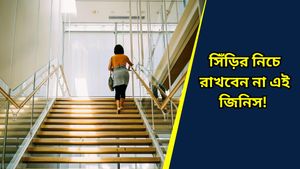 Vastu tips: বাস্তুর সিঁড়িতে পা রেখেই হবে উন্নতি, না মানলেই বিপদ, দেখে নিন সিঁড়ি সম্বন্ধে বাস্তুবিদদের মতামত 