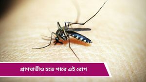Japanese Encephalitis: চোখ রাঙাচ্ছে জাপানি এনসেফালাইটিস, জেনে নিন উপসর্গগুলি   