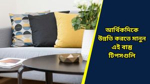 জীবনে সাফল্য আনতে, বাড়ি থেকে বাস্তুত্রুটি দূর করতে মানুন এই বাস্তু টিপসগুলি