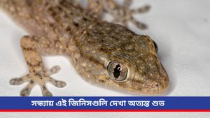 Vastu Tips: ভর সন্ধ্যায় বাড়িতে টিকটিকির আনাগোনা? তাড়াবেন না ভুলেও, মিলবে লক্ষ্মীর আশীর্বাদ   