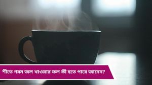 Winter tips: শীতকালে দেদার খাচ্ছেন গরম জল, শরীরের জন্য আদৌ কি ঠিক? জানুন 