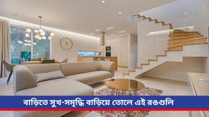 Vastu tips: বাড়িতে নতুন মন্দির বানাচ্ছেন? বাস্তু মতে কোন রঙ বেছে নেবেন জানুন  